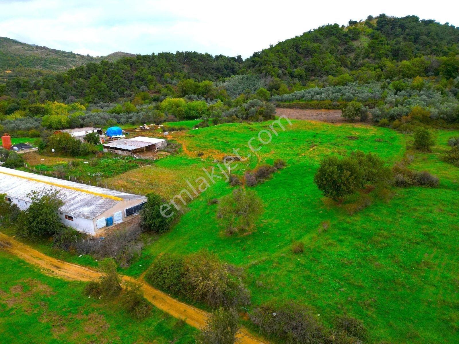 |Erdek| Kapıdağ'In Doğasıyla İç İçe Yol Su Elektrik Hazır Arazi! — fotoğraf 9