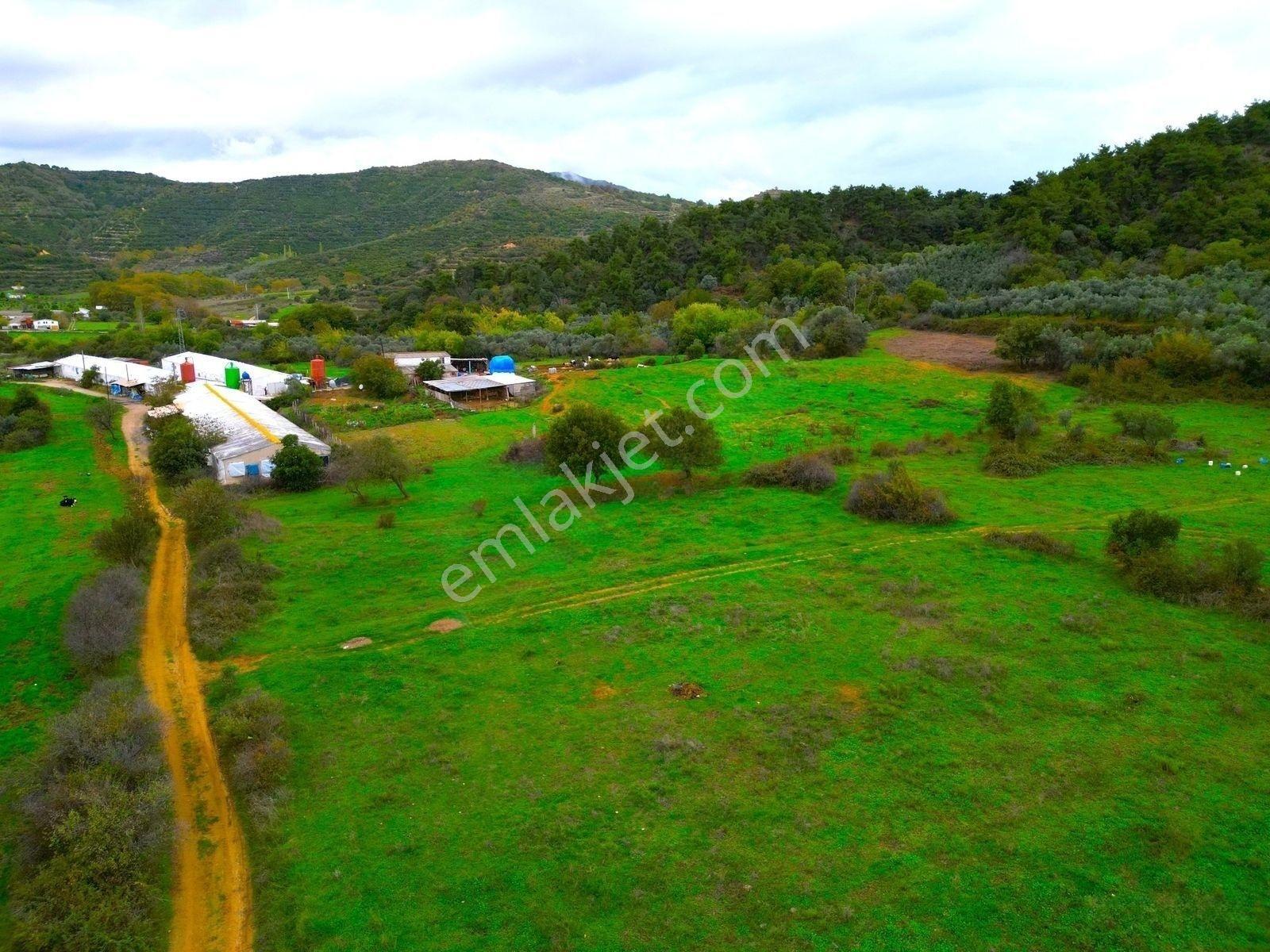 |Erdek| Kapıdağ'In Doğasıyla İç İçe Yol Su Elektrik Hazır Arazi! — fotoğraf 10