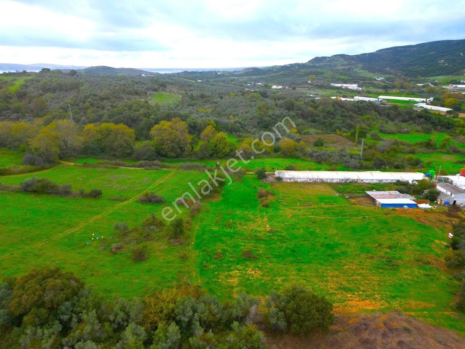 |Erdek| Kapıdağ'In Doğasıyla İç İçe Yol Su Elektrik Hazır Arazi! — fotoğraf 14