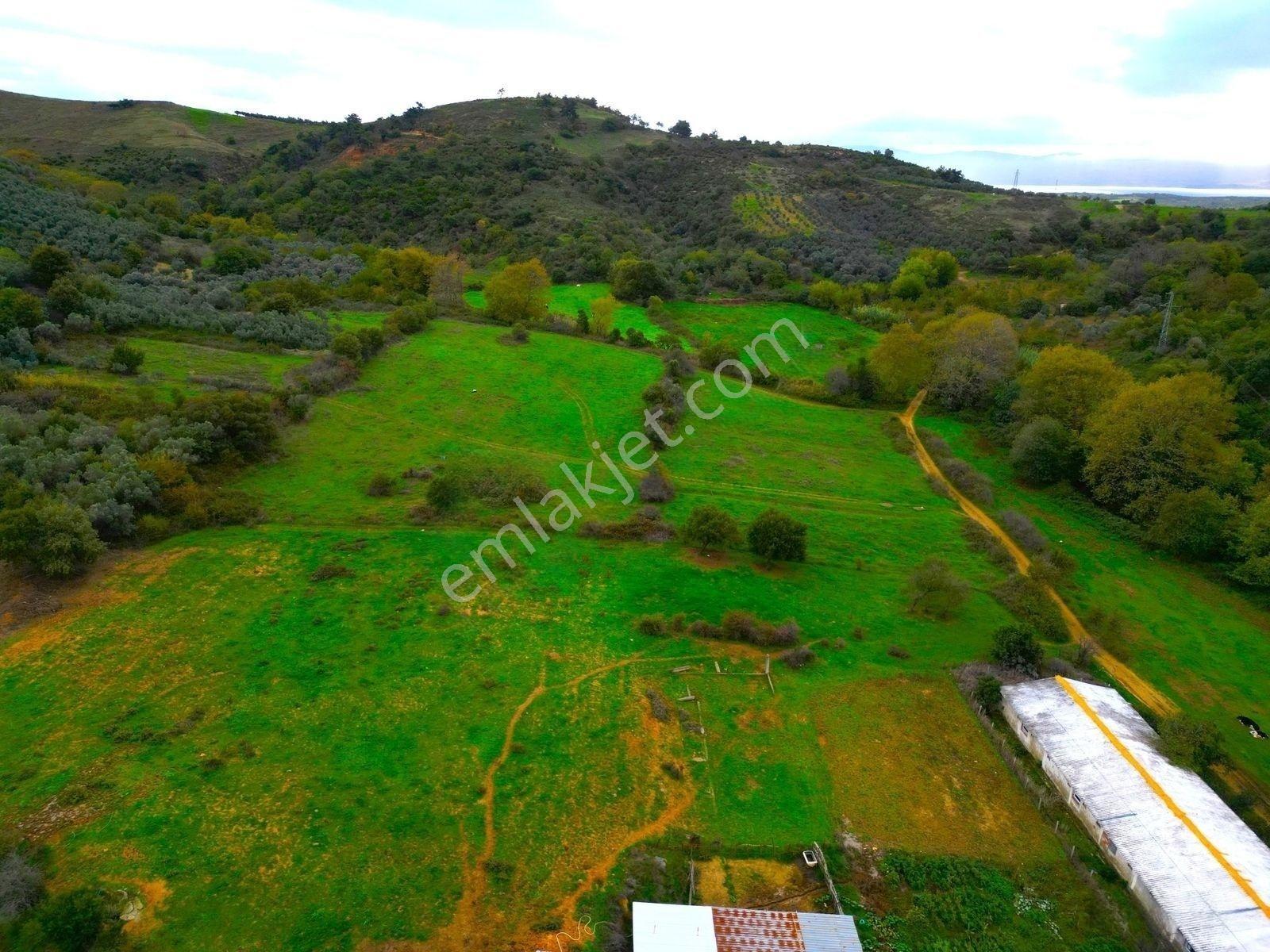 |Erdek| Kapıdağ'In Doğasıyla İç İçe Yol Su Elektrik Hazır Arazi! — fotoğraf 17