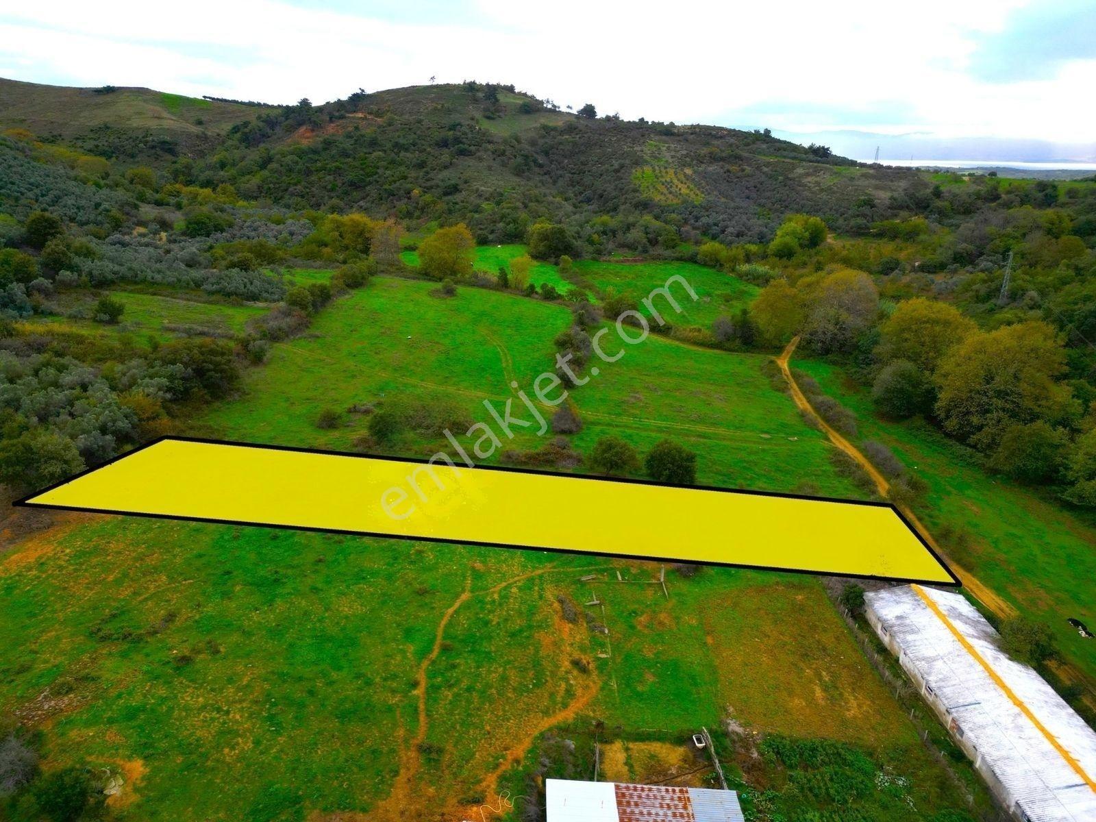 |Erdek| Kapıdağ'In Doğasıyla İç İçe Yol Su Elektrik Hazır Arazi! — fotoğraf 18