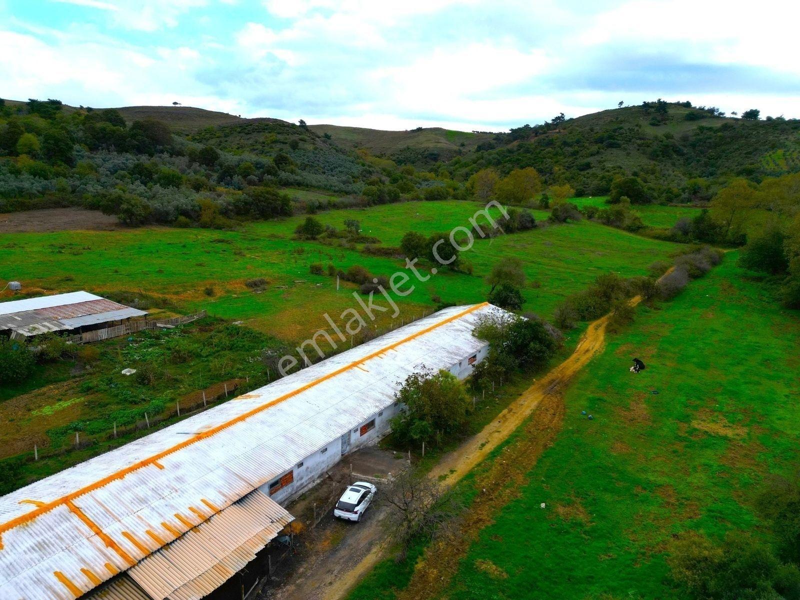 |Erdek| Kapıdağ'In Doğasıyla İç İçe Yol Su Elektrik Hazır Arazi! — fotoğraf 19