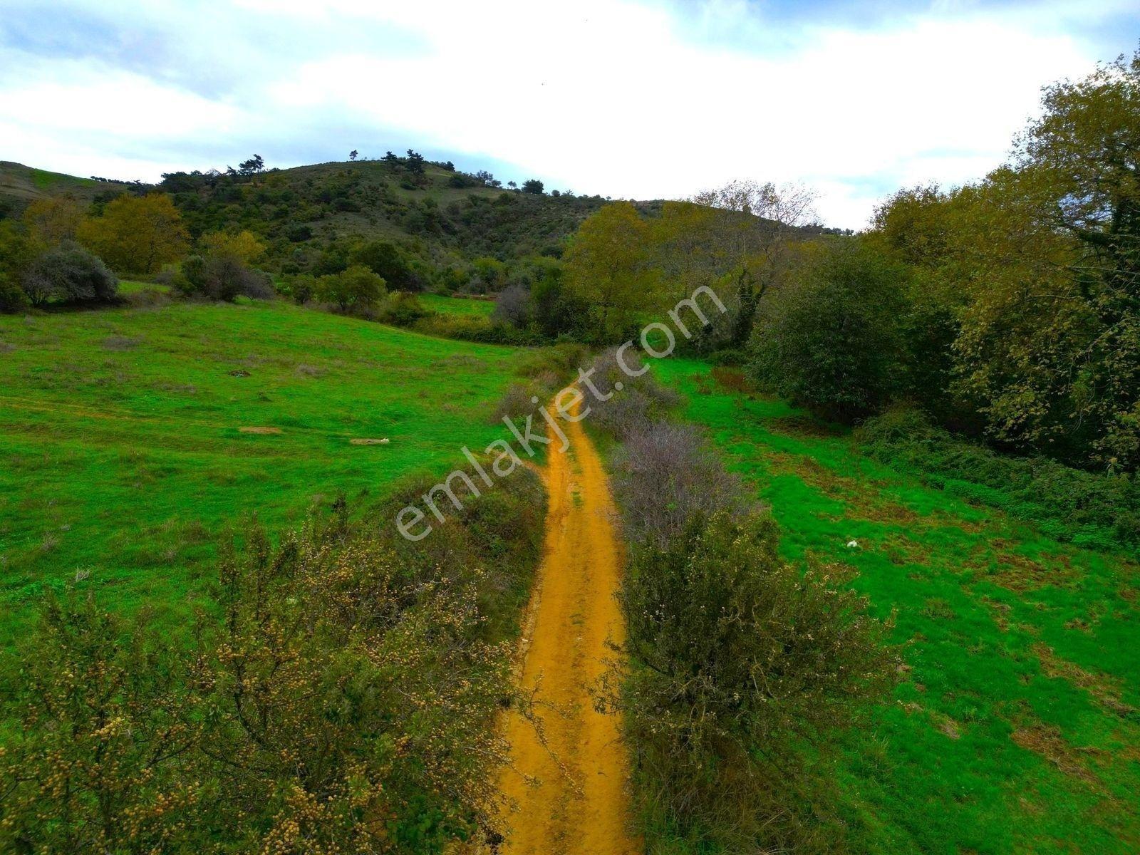 |Erdek| Kapıdağ'In Doğasıyla İç İçe Yol Su Elektrik Hazır Arazi! — fotoğraf 20