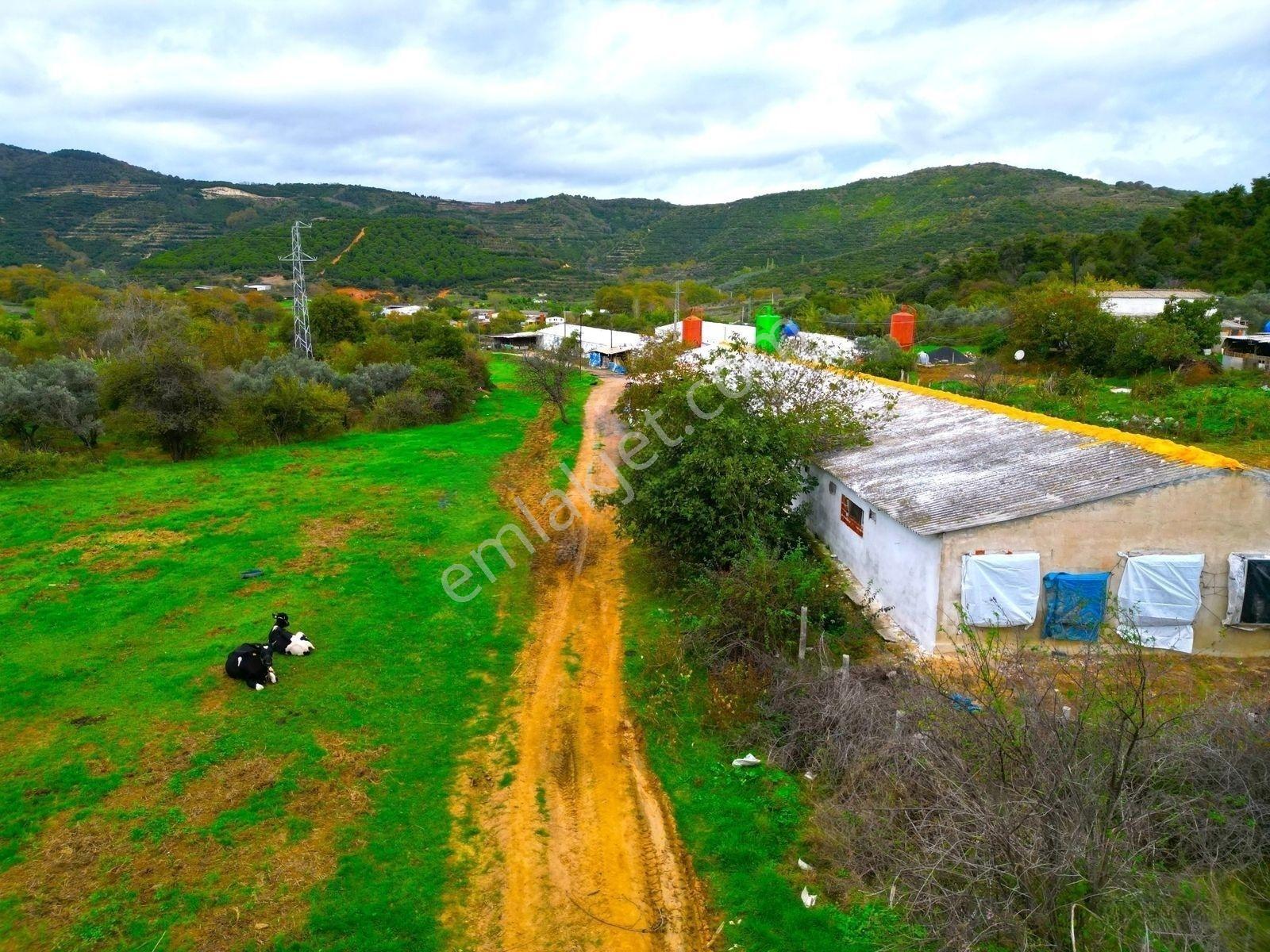 |Erdek| Kapıdağ'In Doğasıyla İç İçe Yol Su Elektrik Hazır Arazi! — fotoğraf 21