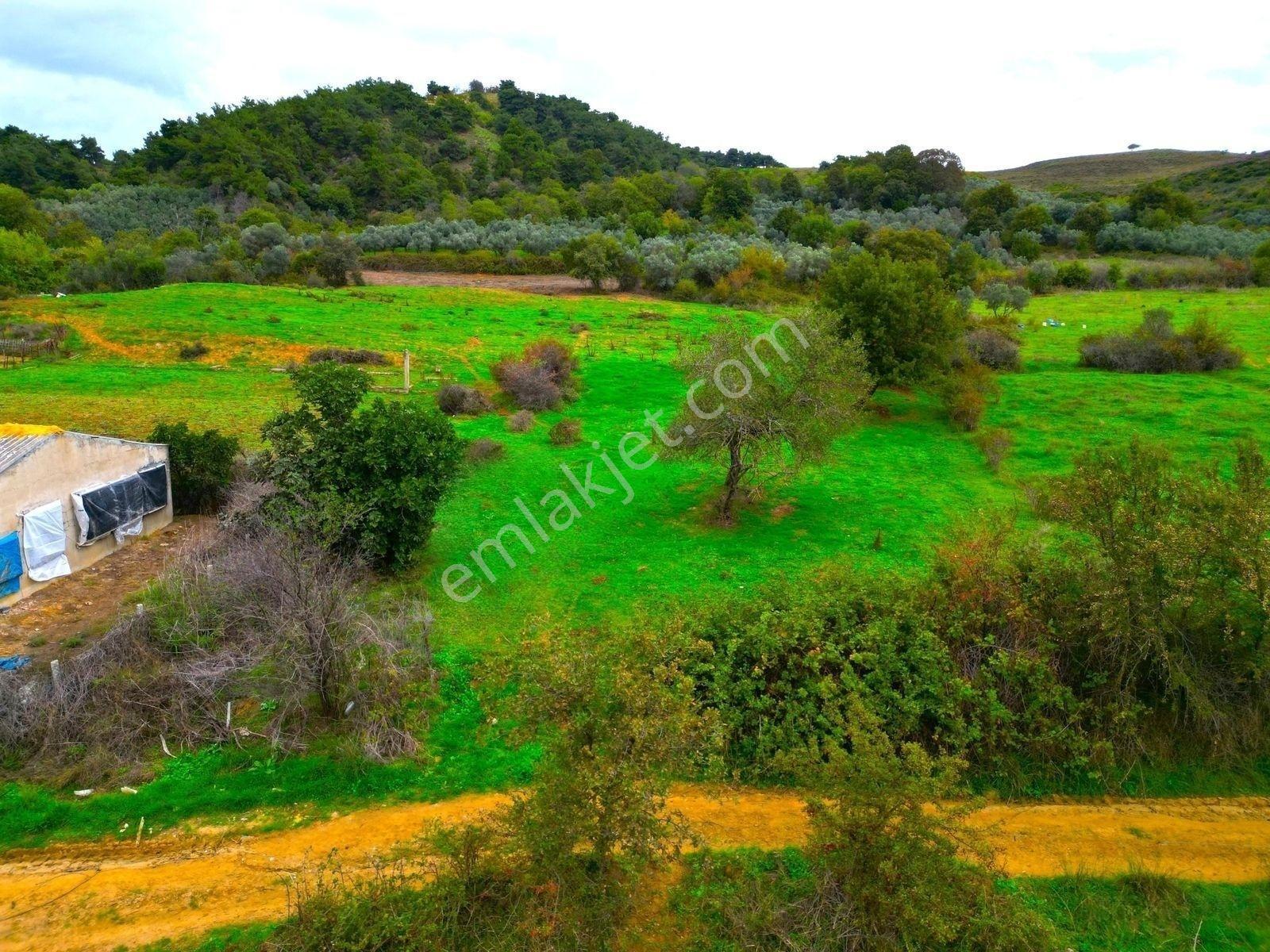 |Erdek| Kapıdağ'In Doğasıyla İç İçe Yol Su Elektrik Hazır Arazi! — fotoğraf 22