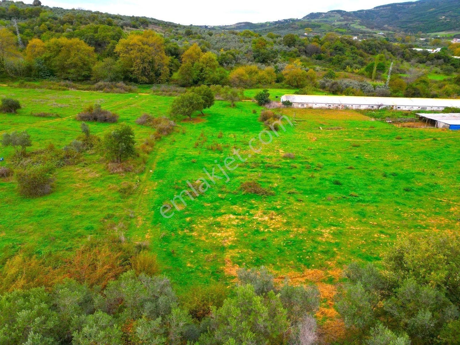 |Erdek| Kapıdağ'In Doğasıyla İç İçe Yol Su Elektrik Hazır Arazi! — fotoğraf 23