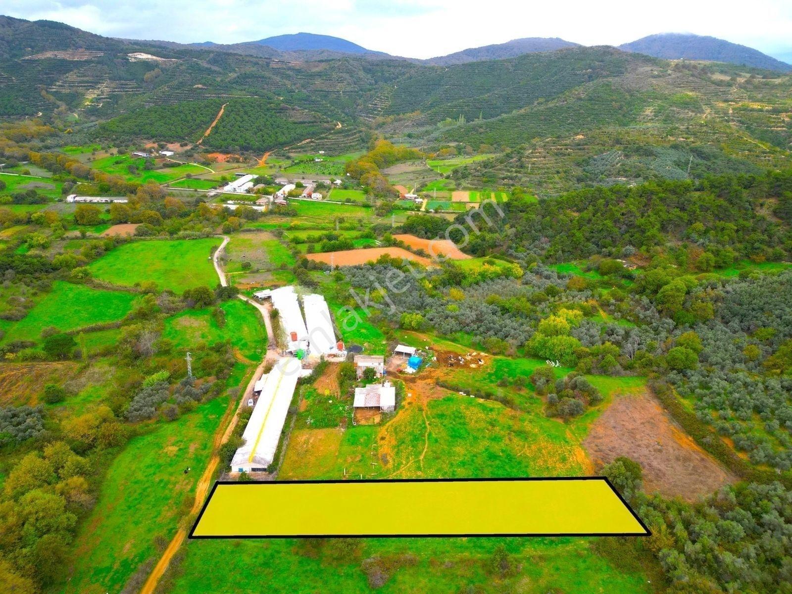 |Erdek| Kapıdağ'In Doğasıyla İç İçe Yol Su Elektrik Hazır Arazi! — fotoğraf 26