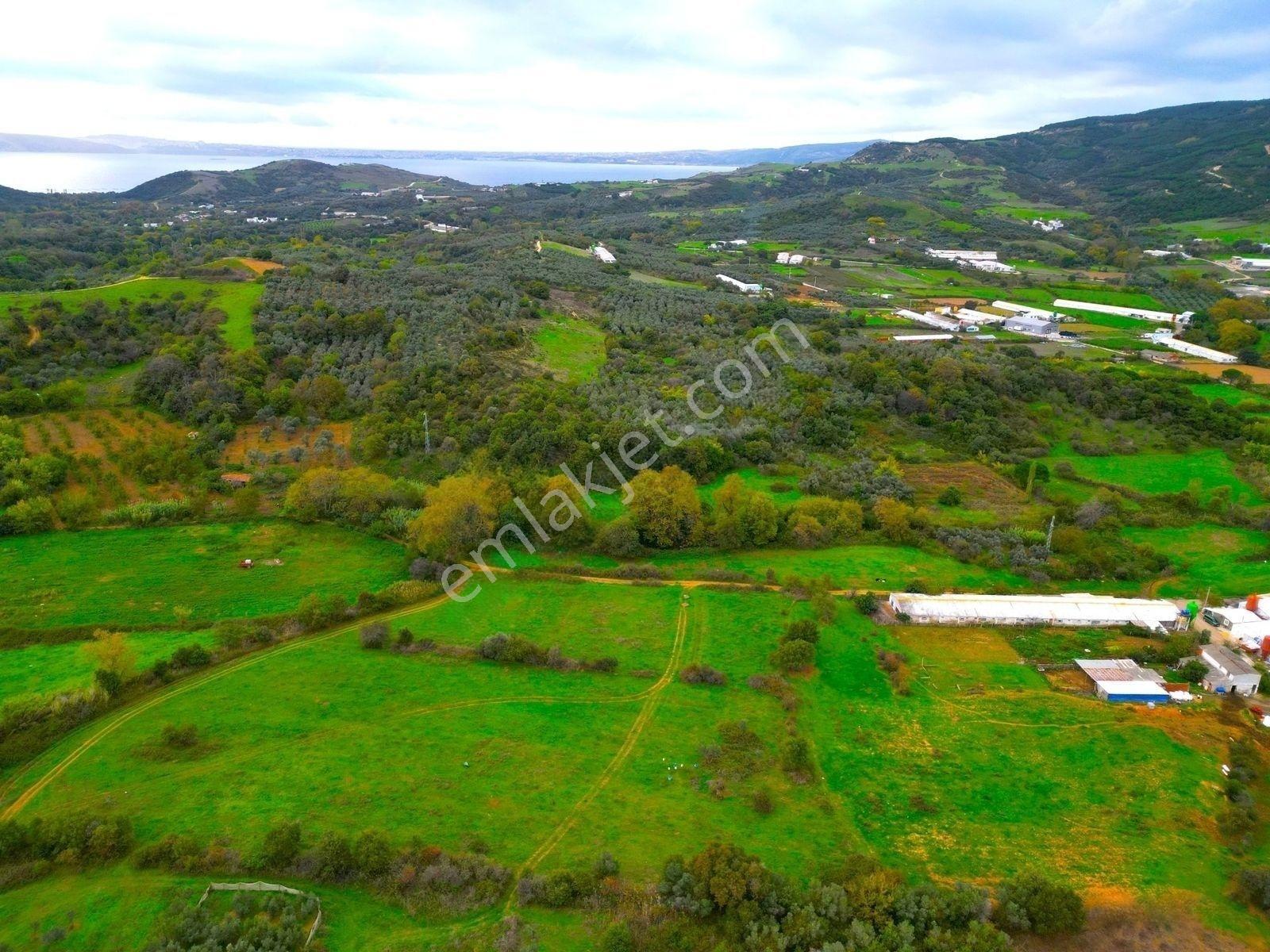 |Erdek| Kapıdağ'In Doğasıyla İç İçe Yol Su Elektrik Hazır Arazi! — fotoğraf 28