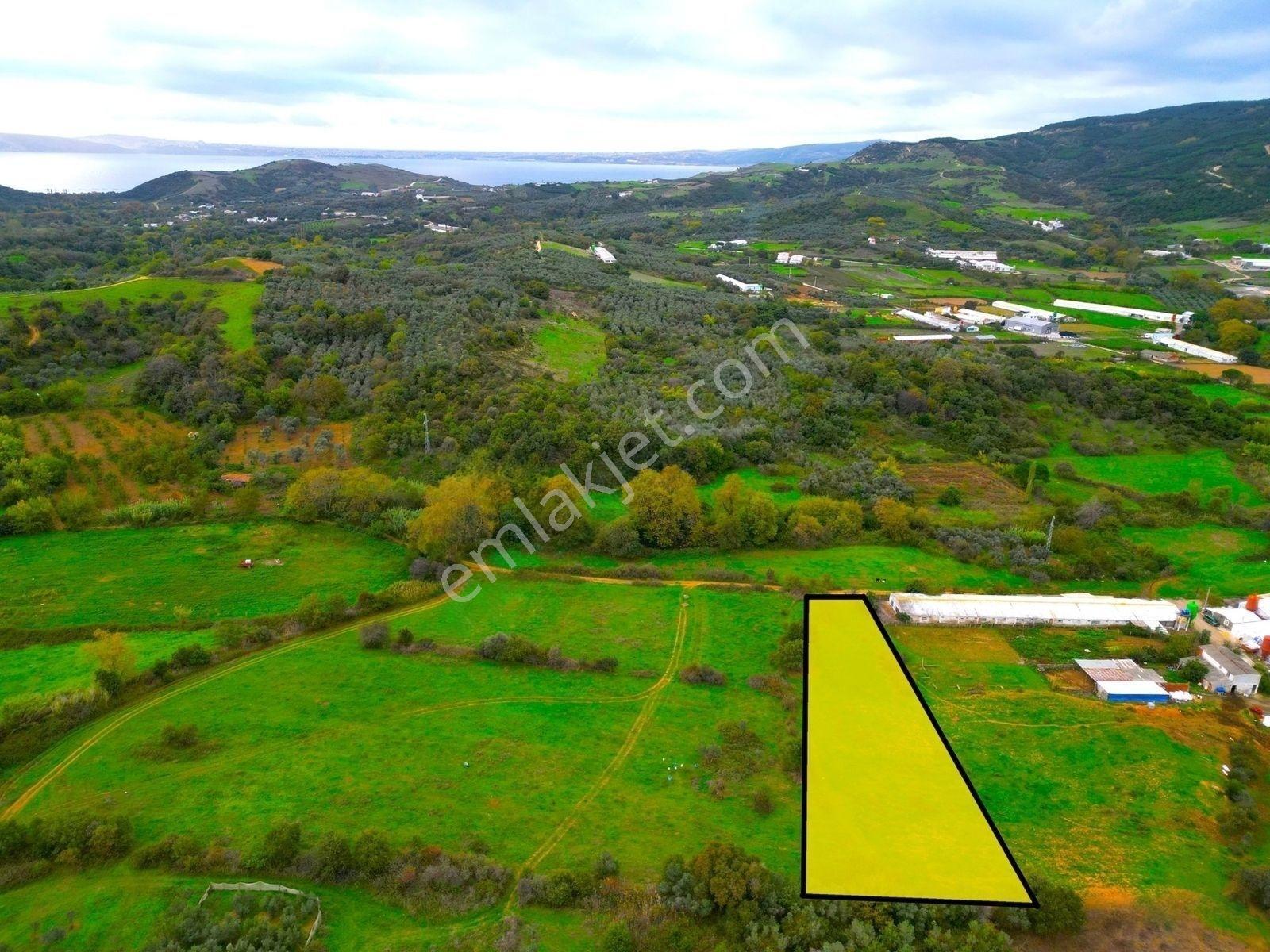 |Erdek| Kapıdağ'In Doğasıyla İç İçe Yol Su Elektrik Hazır Arazi! — fotoğraf 29