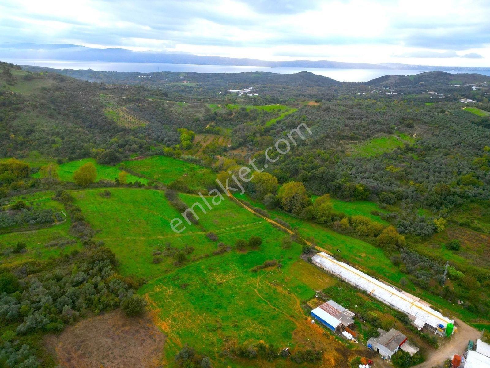 |Erdek| Kapıdağ'In Doğasıyla İç İçe Yol Su Elektrik Hazır Arazi! — fotoğraf 31
