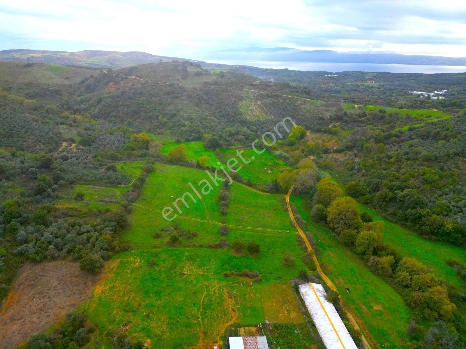 |Erdek| Kapıdağ'In Doğasıyla İç İçe Yol Su Elektrik Hazır Arazi! — fotoğraf 32