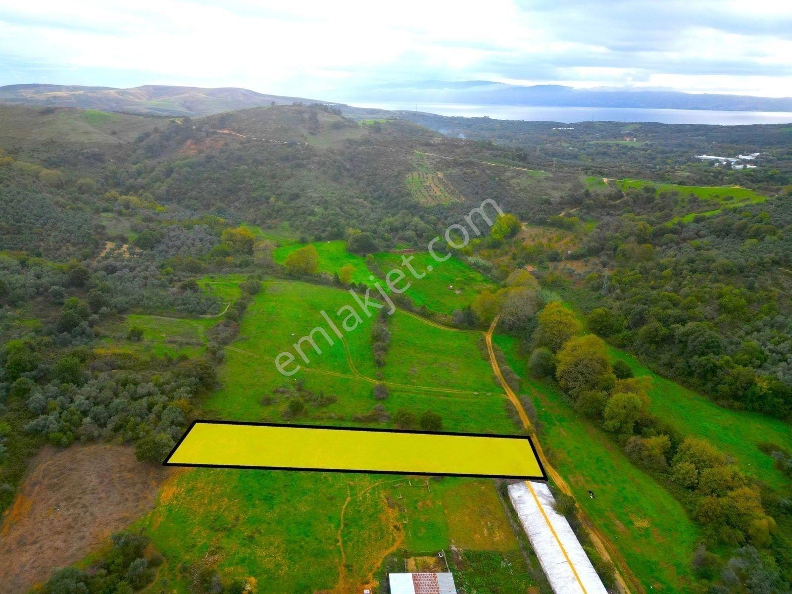 |Erdek| Kapıdağ'In Doğasıyla İç İçe Yol Su Elektrik Hazır Arazi! — fotoğraf 33
