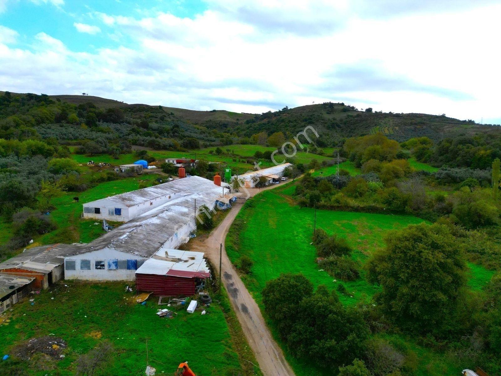 |Erdek| Kapıdağ'In Doğasıyla İç İçe Yol Su Elektrik Hazır Arazi! — fotoğraf 34