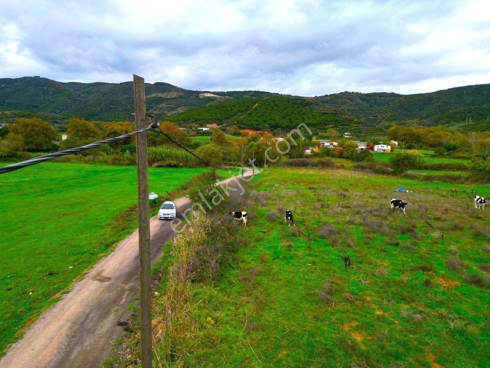 |Erdek| Kapıdağ'In Doğasıyla İç İçe Yol Su Elektrik Hazır Arazi! — fotoğraf 35