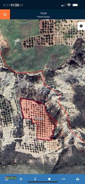 Bonus'dan Akpınarda Satılık 4848 M2 Arazi — fotoğraf 4