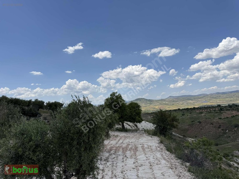 Bonus'dan Akpınarda Satılık 4848 M2 Arazi — fotoğraf 6