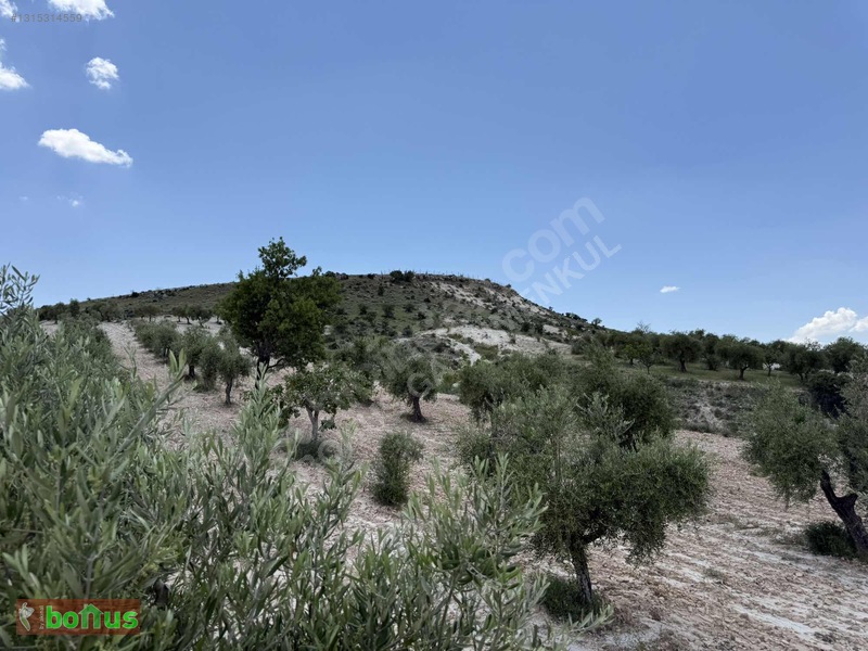 Bonus'dan Akpınarda Satılık 4848 M2 Arazi — fotoğraf 7