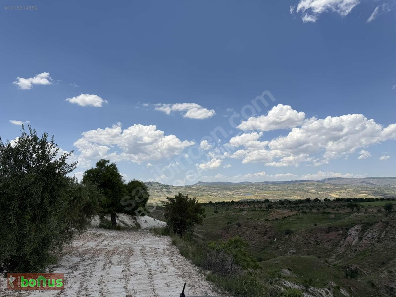 Bonus'dan Akpınarda Satılık 4848 M2 Arazi — fotoğraf 8