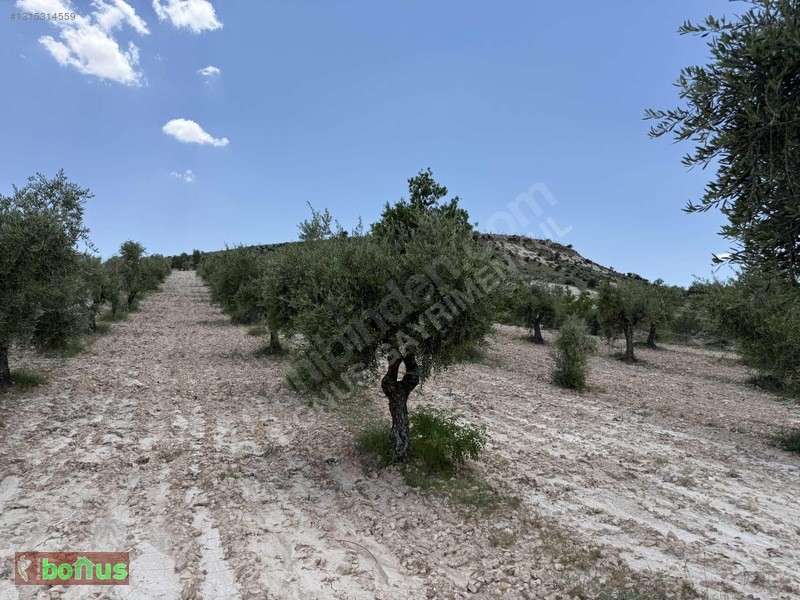 Bonus'dan Akpınarda Satılık 4848 M2 Arazi — fotoğraf 9