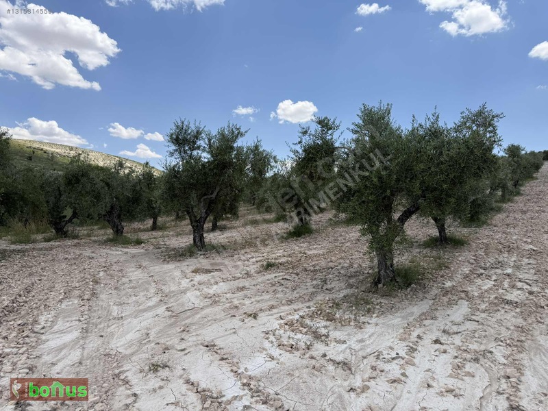 Bonus'dan Akpınarda Satılık 4848 M2 Arazi — fotoğraf 10