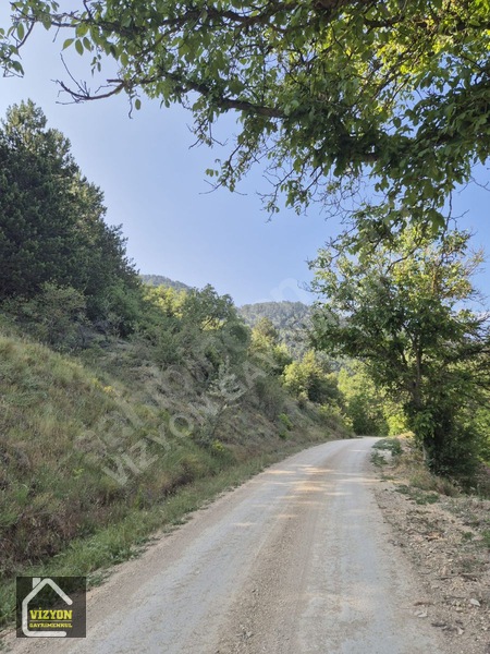 Kacmaz Fiyat Düşdü Bu Fiyata Bulamasın Arsamız Komple Yola Cephe — fotoğraf 9
