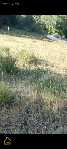 Kacmaz Fiyat Düşdü Bu Fiyata Bulamasın Arsamız Komple Yola Cephe — fotoğraf 17