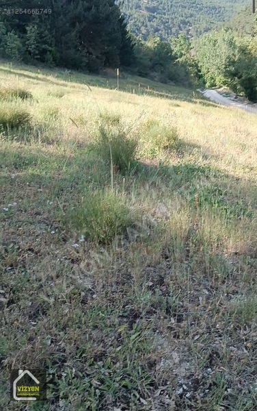 Kacmaz Fiyat Düşdü Bu Fiyata Bulamasın Arsamız Komple Yola Cephe — fotoğraf 19