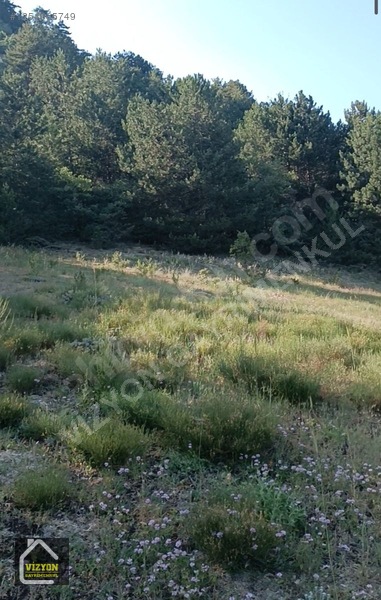 Kacmaz Fiyat Düşdü Bu Fiyata Bulamasın Arsamız Komple Yola Cephe — fotoğraf 22