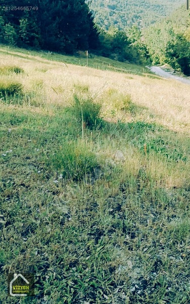 Kacmaz Fiyat Düşdü Bu Fiyata Bulamasın Arsamız Komple Yola Cephe — fotoğraf 23