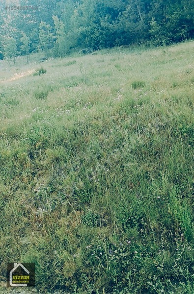 Kacmaz Fiyat Düşdü Bu Fiyata Bulamasın Arsamız Komple Yola Cephe — fotoğraf 24