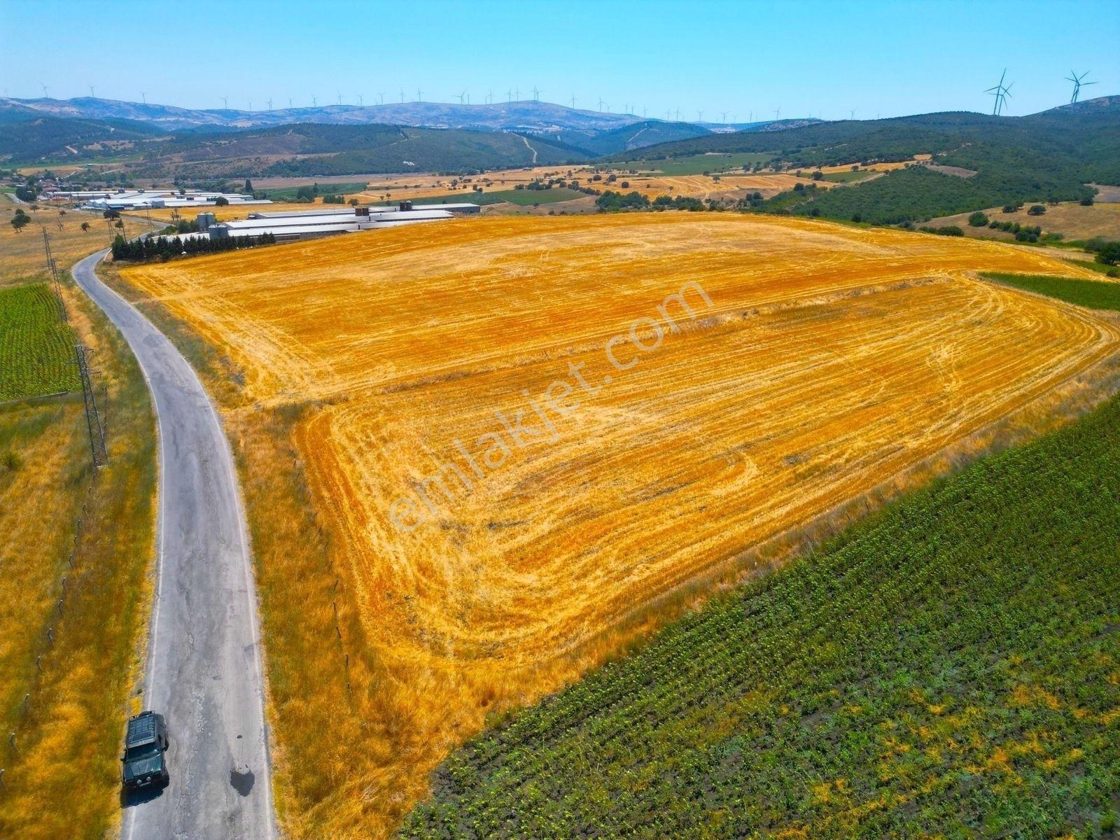 |Susurluk| Balıkesir 20 Dk Çiftlik Projesine Uygun Asfalta Cephe — fotoğraf 8