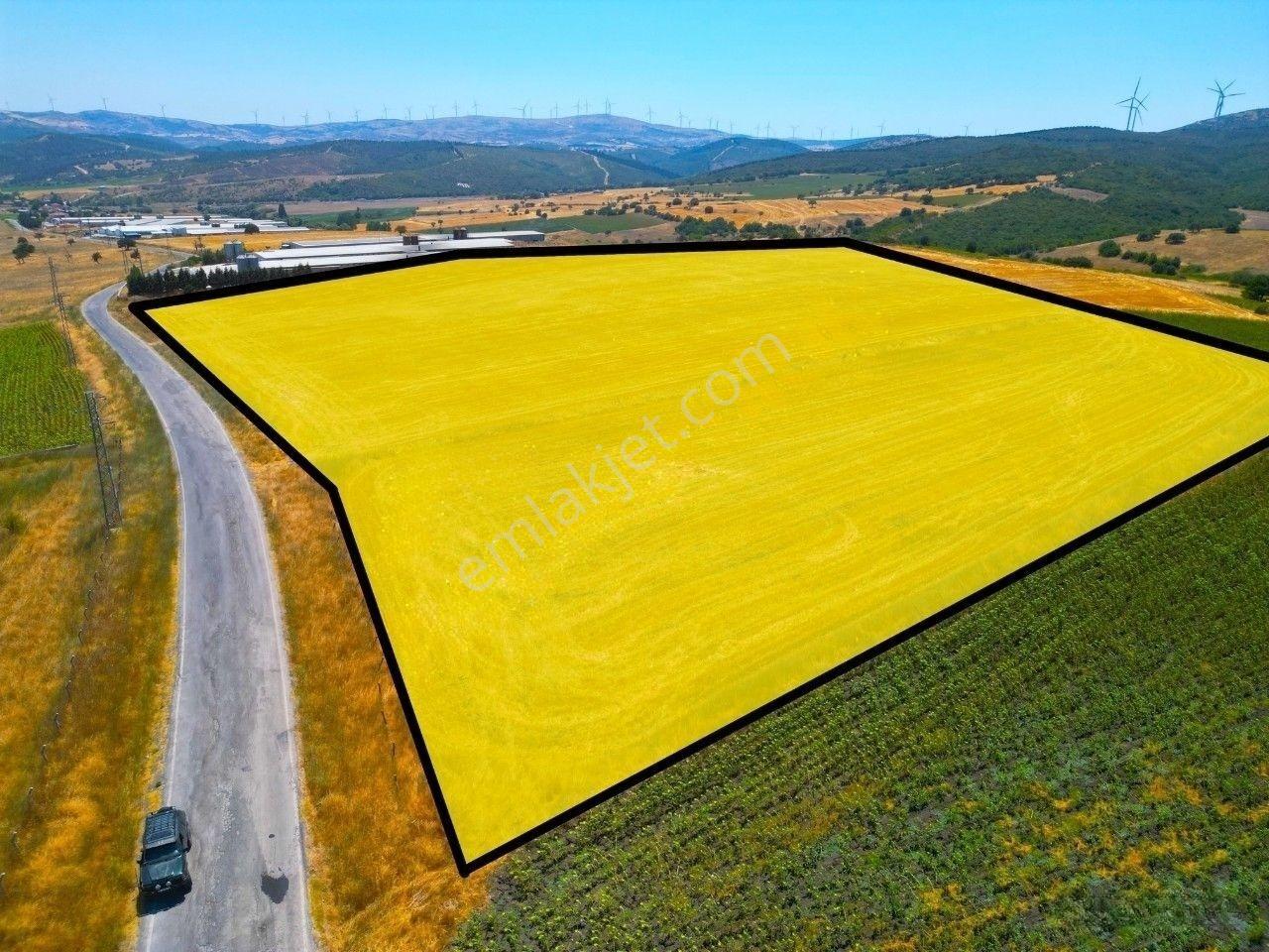|Susurluk| Balıkesir 20 Dk Çiftlik Projesine Uygun Asfalta Cephe — fotoğraf 9