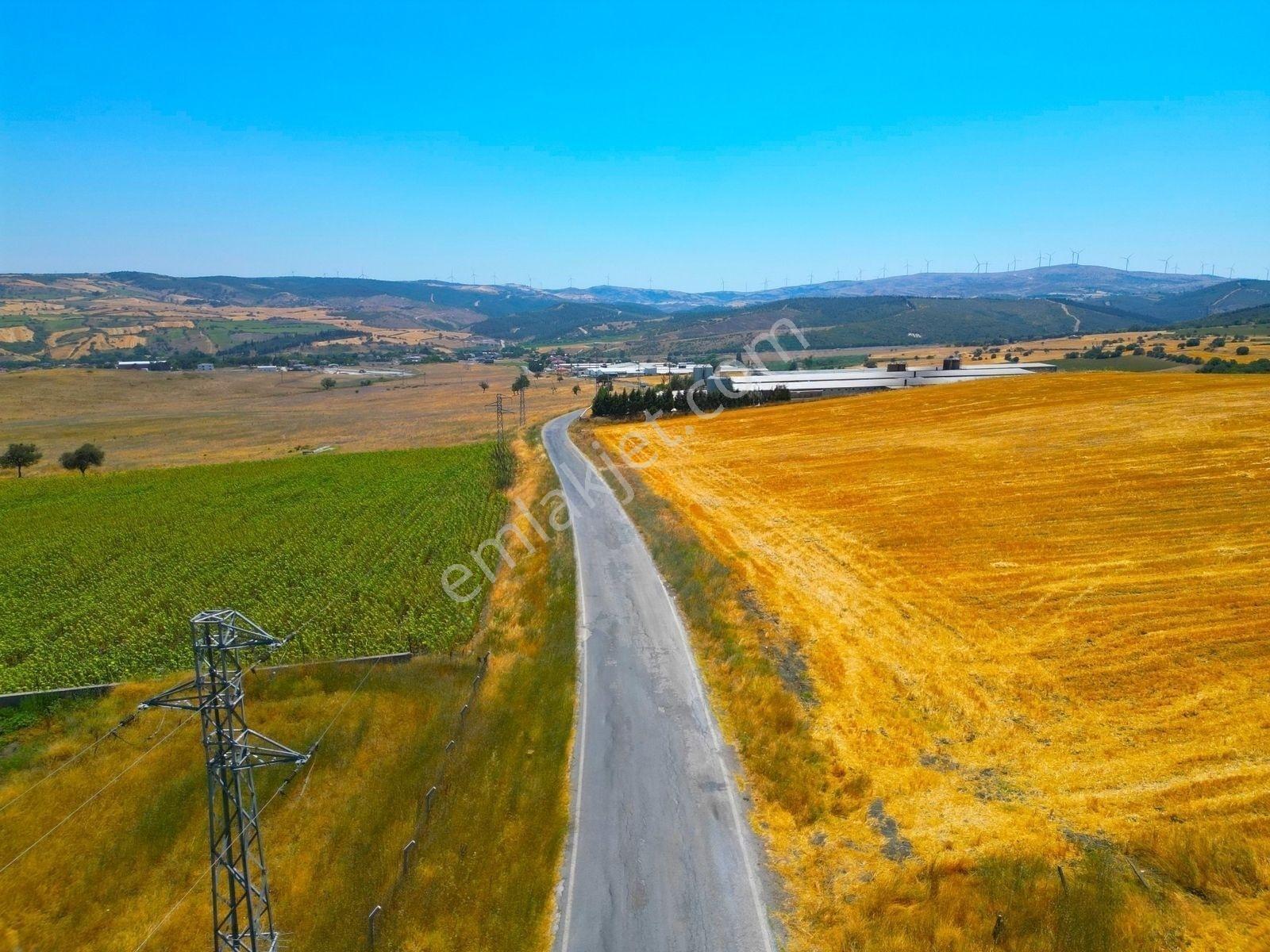 |Susurluk| Balıkesir 20 Dk Çiftlik Projesine Uygun Asfalta Cephe — fotoğraf 10