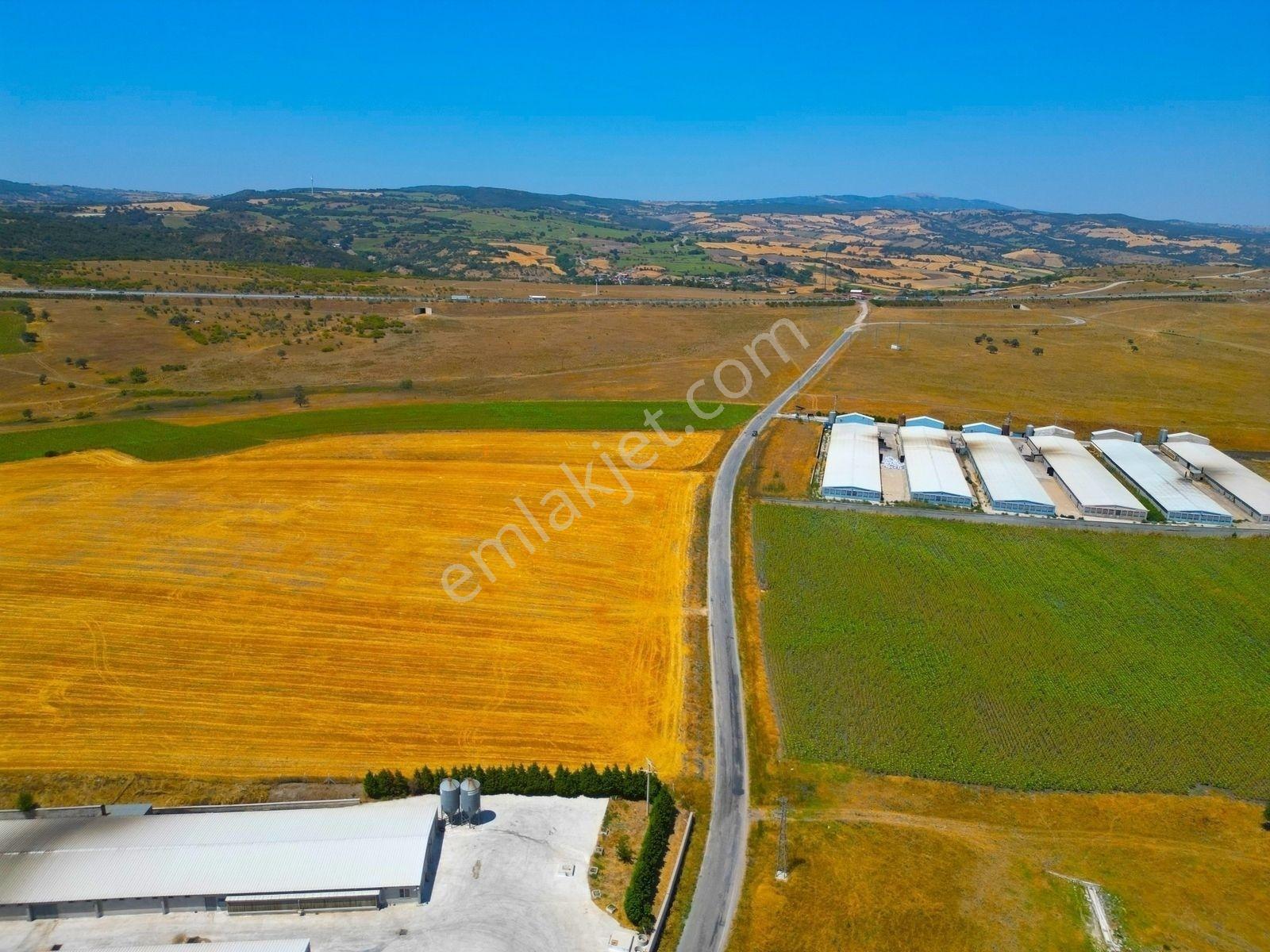 |Susurluk| Balıkesir 20 Dk Çiftlik Projesine Uygun Asfalta Cephe — fotoğraf 13