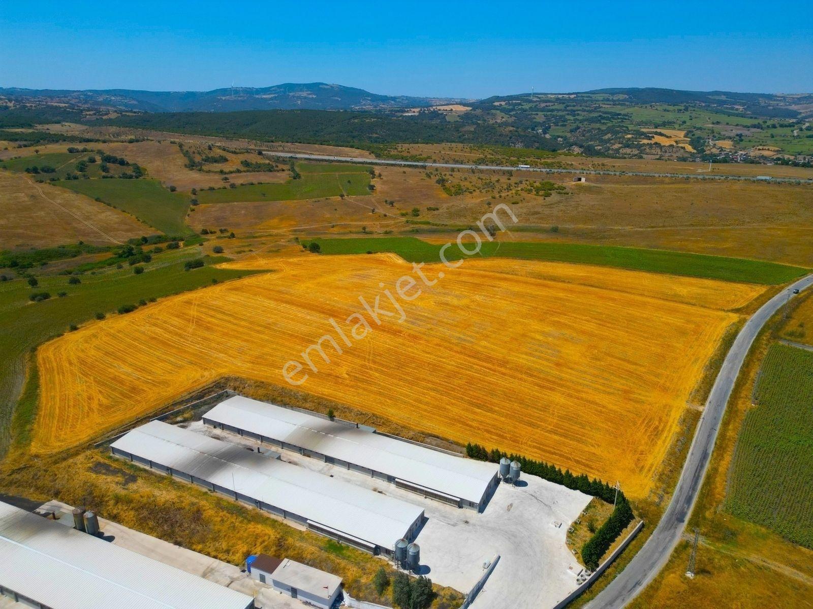 |Susurluk| Balıkesir 20 Dk Çiftlik Projesine Uygun Asfalta Cephe — fotoğraf 14