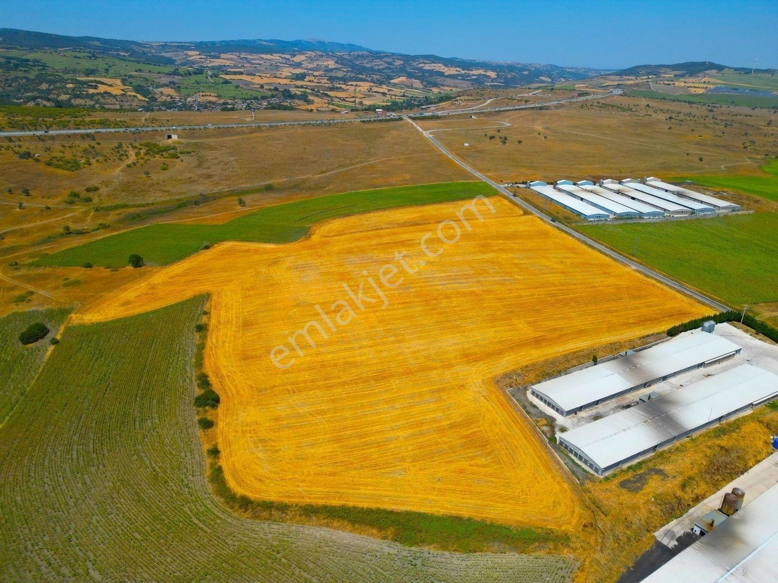 |Susurluk| Balıkesir 20 Dk Çiftlik Projesine Uygun Asfalta Cephe — fotoğraf 17