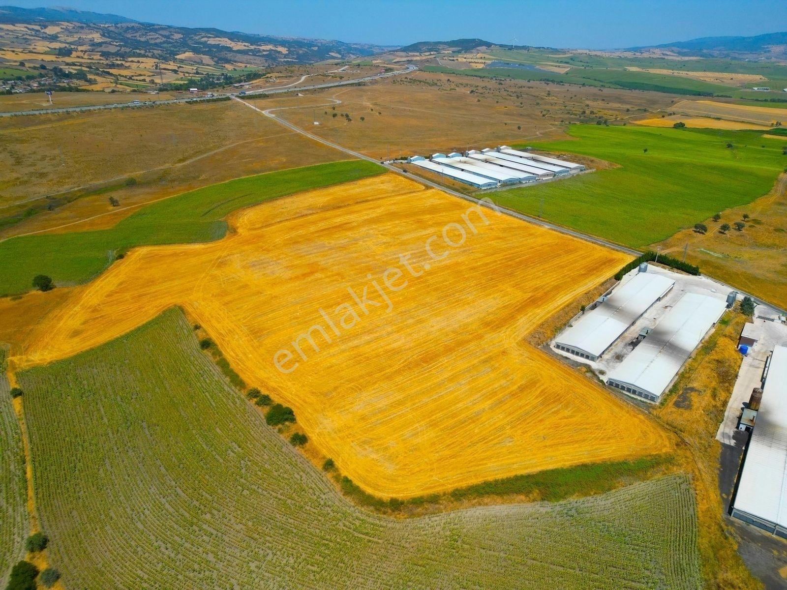 |Susurluk| Balıkesir 20 Dk Çiftlik Projesine Uygun Asfalta Cephe — fotoğraf 18