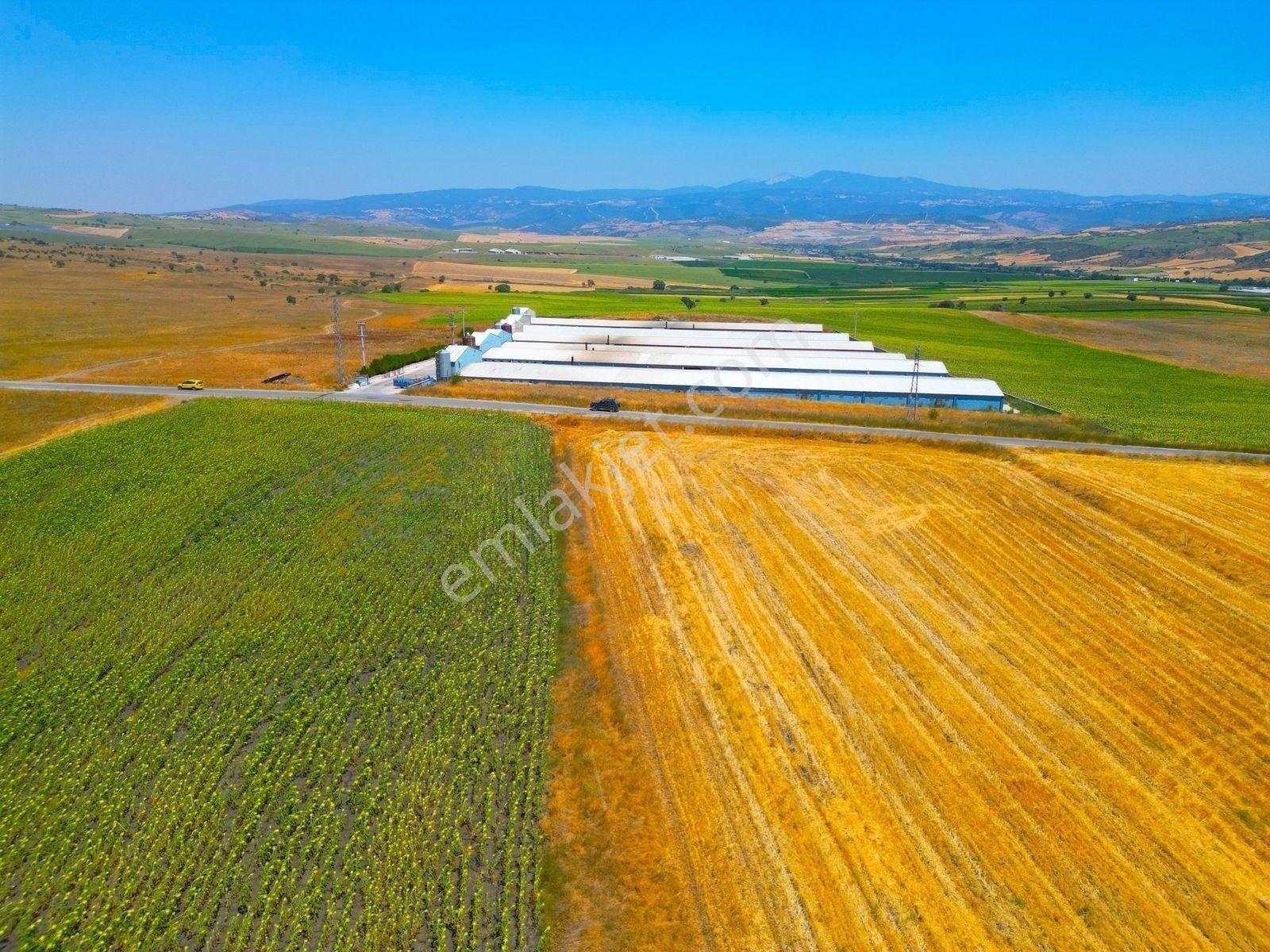 |Susurluk| Balıkesir 20 Dk Çiftlik Projesine Uygun Asfalta Cephe — fotoğraf 24