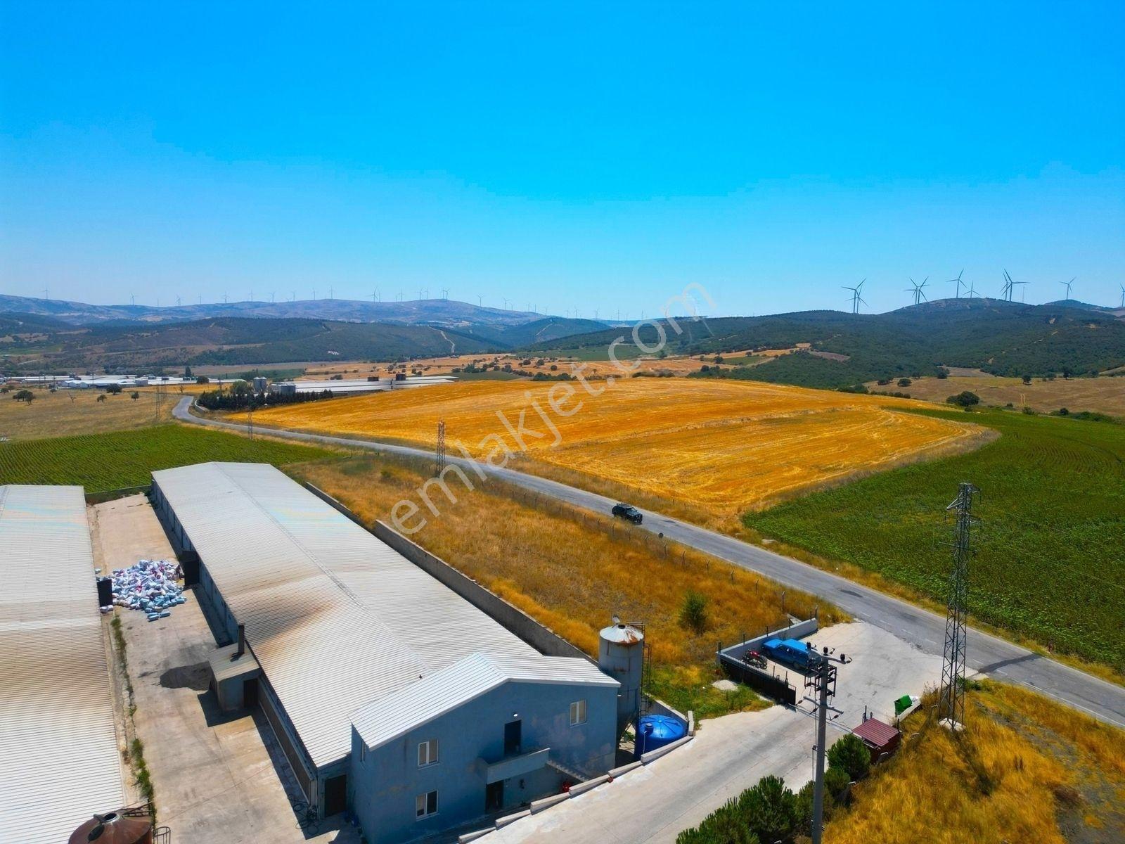 |Susurluk| Balıkesir 20 Dk Çiftlik Projesine Uygun Asfalta Cephe — fotoğraf 26