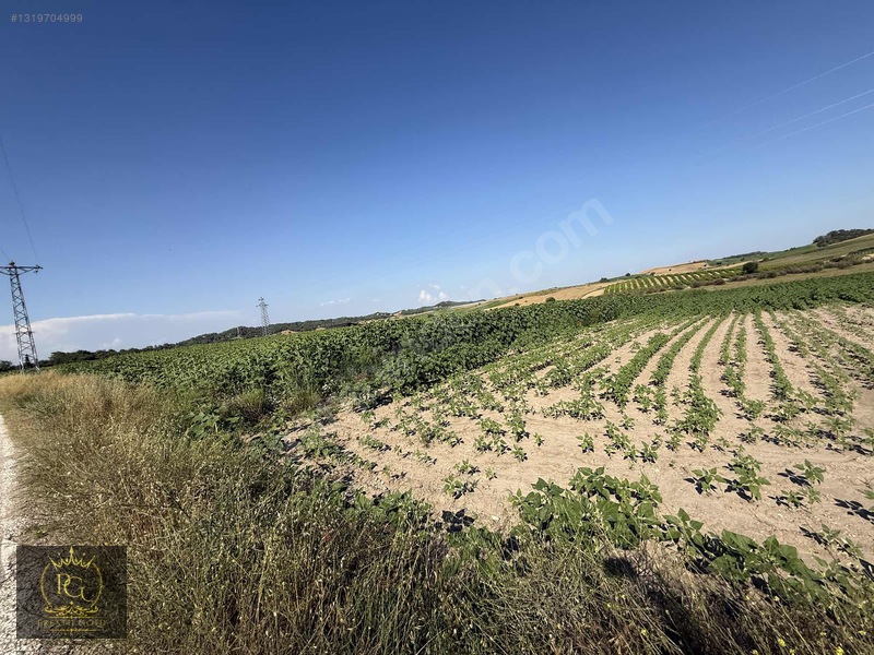 Hocalı 5.802 M2 Tek Tapu Yola Sıfır Bakmadan Geçmeyiniz!!! — fotoğraf 11