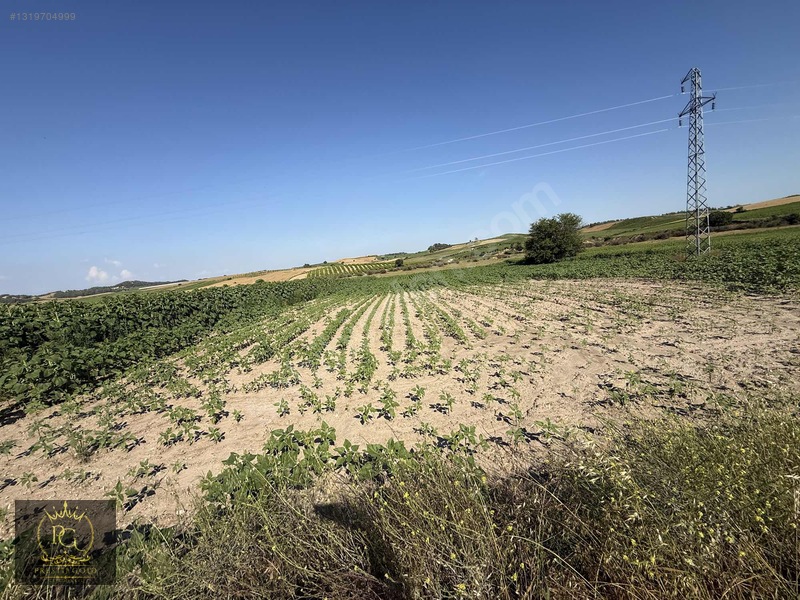 Hocalı 5.802 M2 Tek Tapu Yola Sıfır Bakmadan Geçmeyiniz!!! — fotoğraf 12