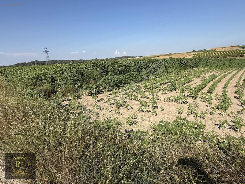 Hocalı 5.802 M2 Tek Tapu Yola Sıfır Bakmadan Geçmeyiniz!!! — fotoğraf 20