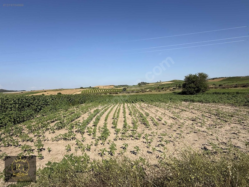 Hocalı 5.802 M2 Tek Tapu Yola Sıfır Bakmadan Geçmeyiniz!!! — fotoğraf 21
