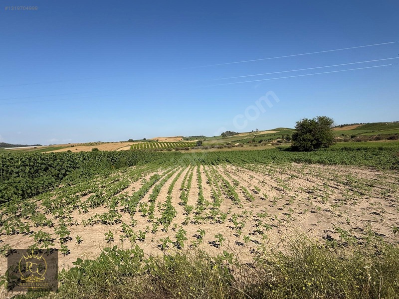 Hocalı 5.802 M2 Tek Tapu Yola Sıfır Bakmadan Geçmeyiniz!!! — fotoğraf 23