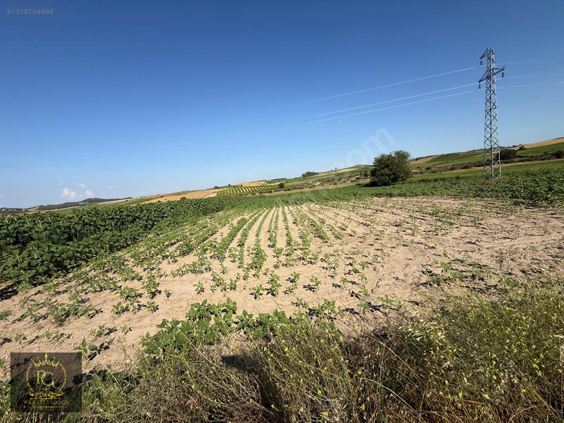 Hocalı 5.802 M2 Tek Tapu Yola Sıfır Bakmadan Geçmeyiniz!!! — fotoğraf 30