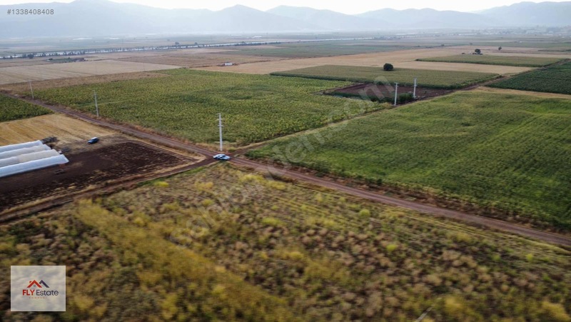 Fly'dan Tavas Pınarlar'da Muğla Yoluna Yakın Köşe Konumda Tarla — fotoğraf 5