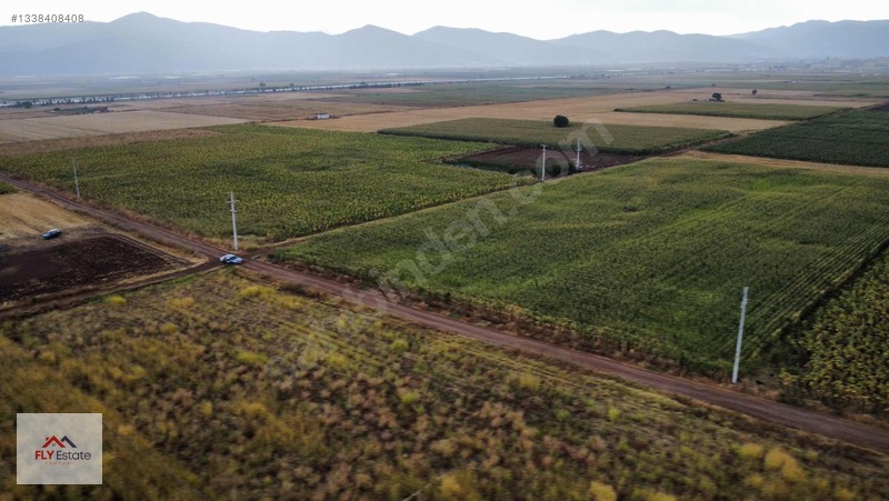 Fly'dan Tavas Pınarlar'da Muğla Yoluna Yakın Köşe Konumda Tarla — fotoğraf 6