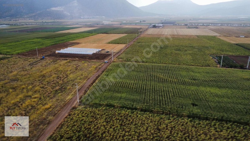 Fly'dan Tavas Pınarlar'da Muğla Yoluna Yakın Köşe Konumda Tarla — fotoğraf 7