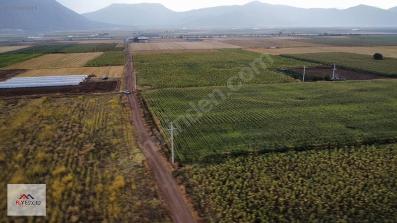 Fly'dan Tavas Pınarlar'da Muğla Yoluna Yakın Köşe Konumda Tarla — fotoğraf 8