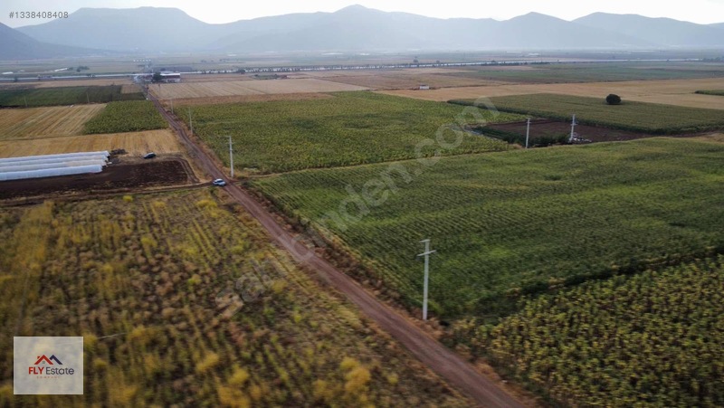 Fly'dan Tavas Pınarlar'da Muğla Yoluna Yakın Köşe Konumda Tarla — fotoğraf 9